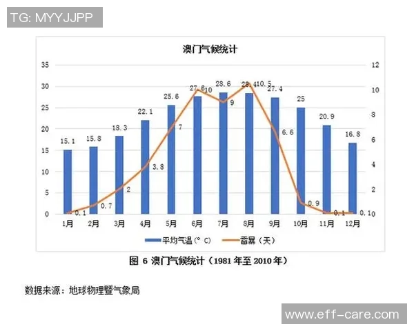 武汉排球队在钻石联赛中的节奏表现分析与未来展望